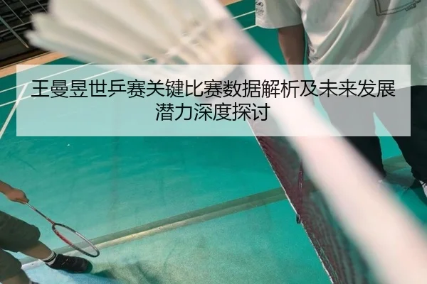 王曼昱世乒赛关键比赛数据解析及未来发展潜力深度探讨 - ayx.com